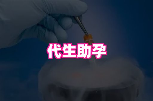 乐乐助孕网 3